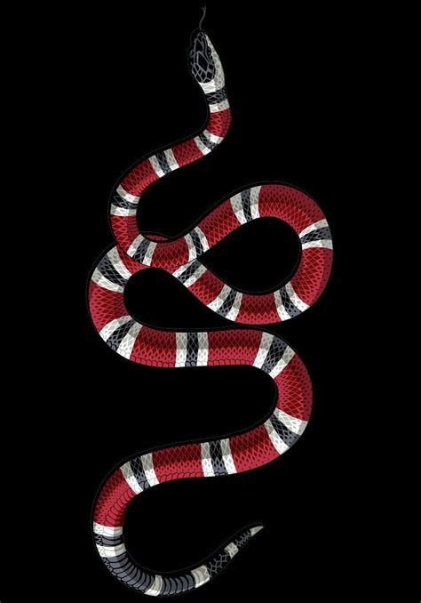 gucci snake images